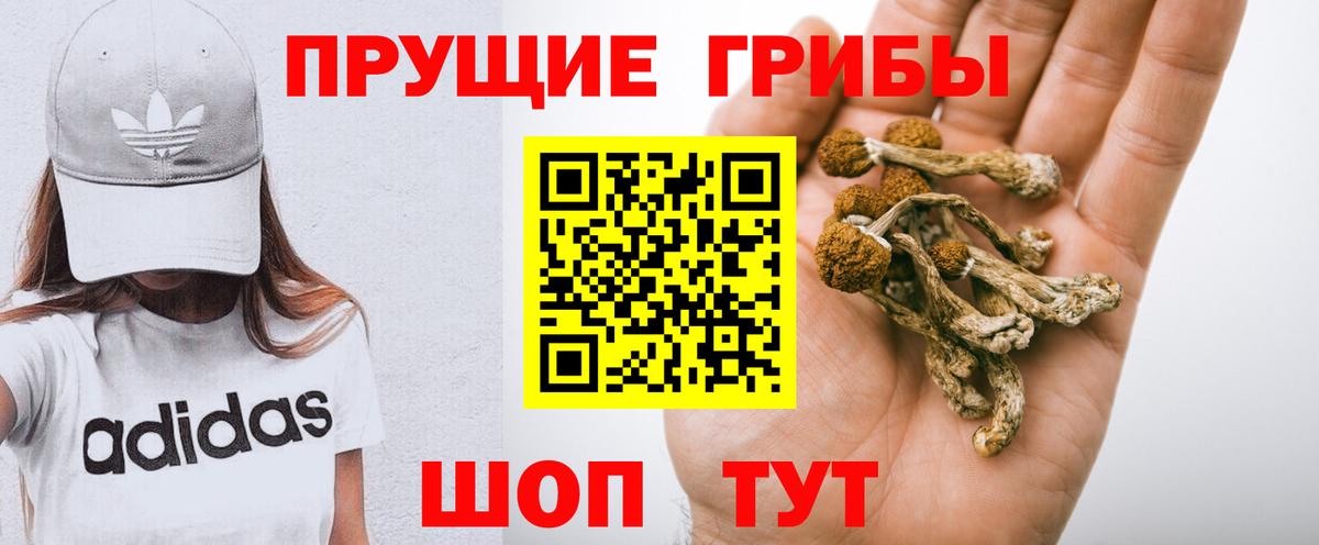 Галлюциногенные грибы Psilocybe Боровичи